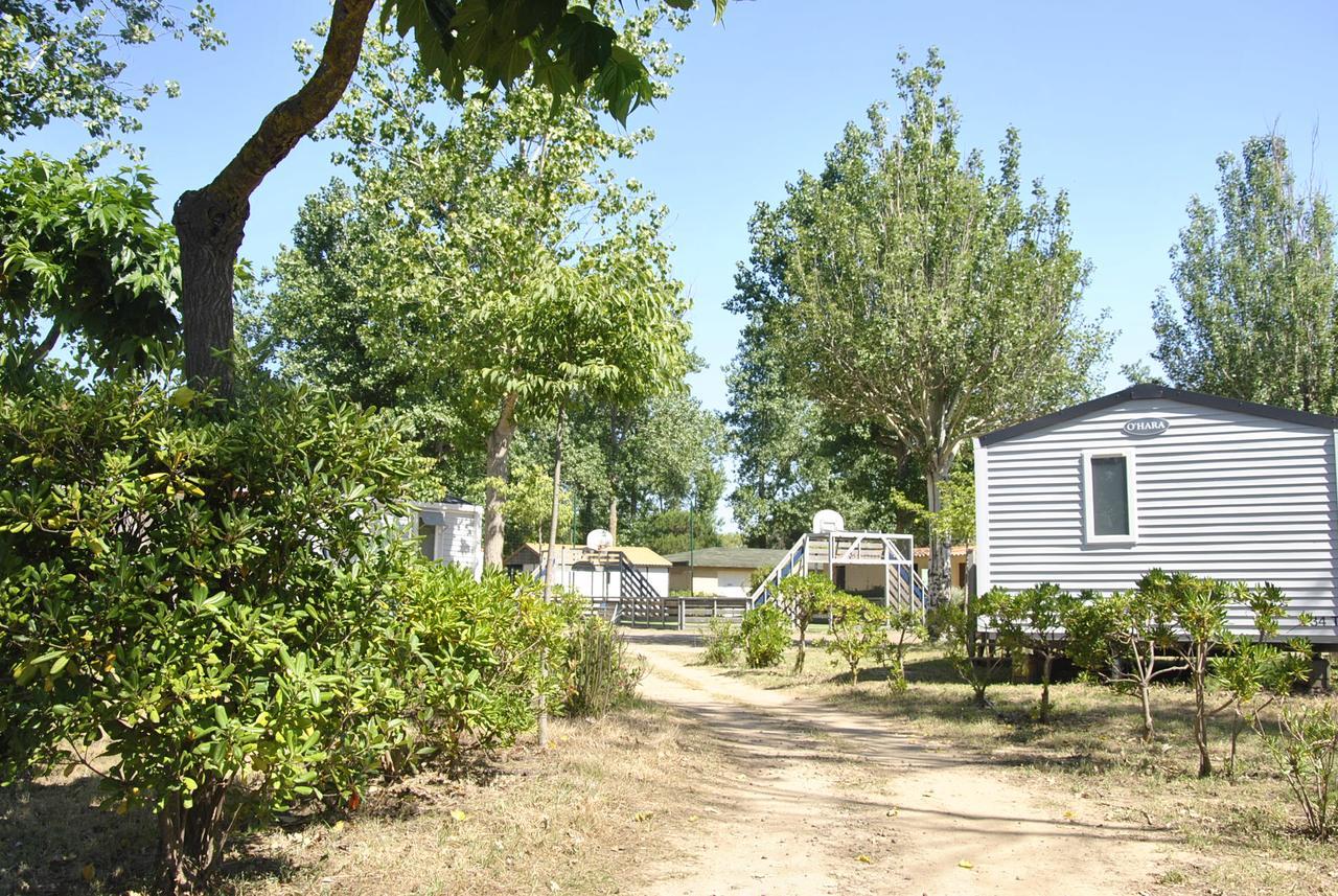 Camping La Dune Vias Exteriör bild