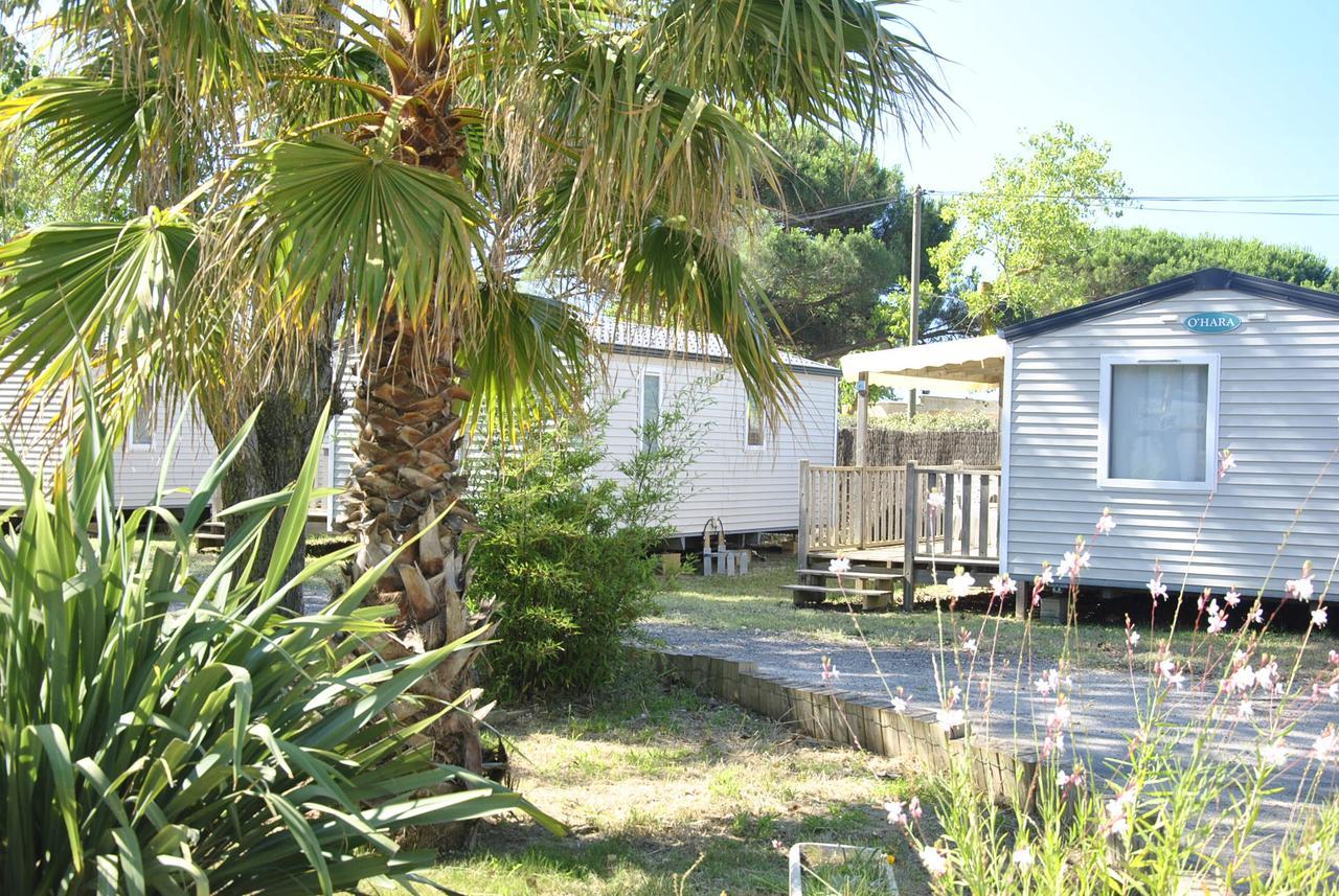 Camping La Dune Vias Exteriör bild